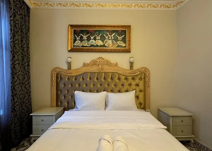 民宿 Felicity Palace Sirkeci