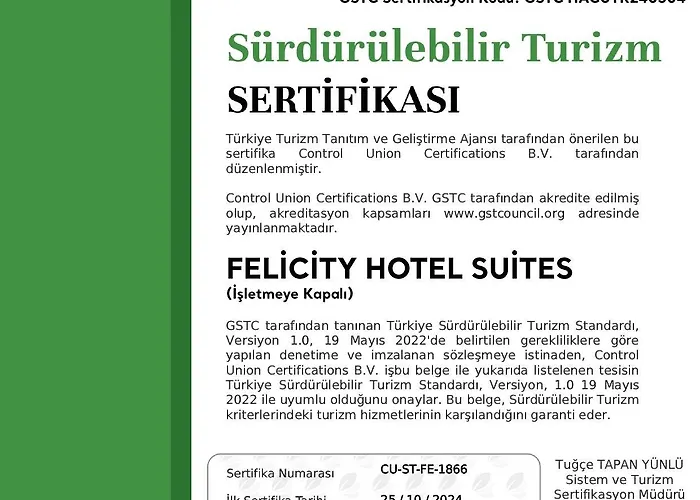 Felicity Palace Sirkeci 民宿 *